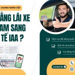 Ai đổi bằng lái xe Việt Nam sang quốc tế IAA ?