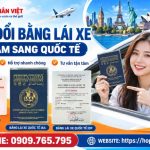 App đổi bằng lái xe Việt Nam sang quốc tế