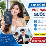 App đổi bằng lái xe Việt Nam sang quốc tế IAA