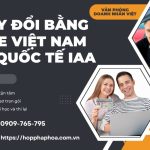 Apply đổi bằng lái xe Việt Nam sang quốc tế IAA