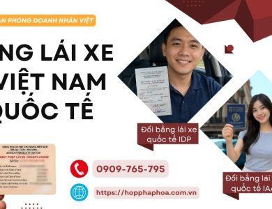 Bằng lái xe B Việt Nam quốc tế