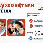 Bằng lái xe B Việt Nam quốc tế IAA