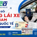 Cách đổi bằng lái xe Việt Nam sang quốc tế