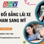 Chuyển đổi bằng lái xe Việt Nam sang Mỹ