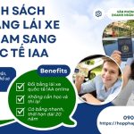 Danh sách đổi bằng lái xe Việt Nam sang quốc tế IAA