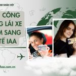 Dịch vụ công đổi bằng lái xe Việt Nam sang quốc tế IAA