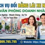 Dịch vụ đổi bằng lái xe Nhật Việt