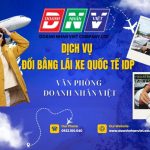 Dịch vụ đổi bằng lái xe quốc tế IDP