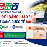 Dịch vụ đổi bằng lái xe Việt Nam sang quốc tế IAA