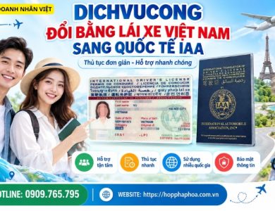 Dichvucong đổi bằng lái xe Việt Nam sang quốc tế IAA