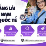 Đổi bằng lái Việt Nam sang quốc tế