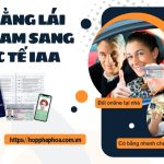 Đổi bằng lái Việt Nam sang quốc tế IAA