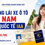 Đổi bằng lái xe ô tô Việt Nam sang quốc tế IAA