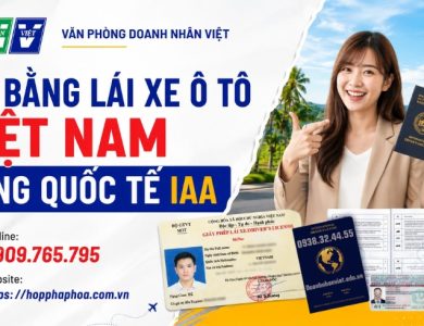 Đổi bằng lái xe ô tô Việt Nam sang quốc tế IAA