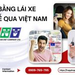 Đổi bằng lái xe quốc tế qua Việt Nam