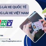 Đổi bằng lái xe quốc tế sang bằng lái xe Việt Nam