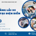 Đổi bằng lái xe quốc tế tại Điện Biên