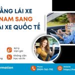 Đổi bằng lái xe Việt Nam sang bằng lái xe quốc tế