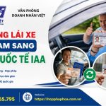 Đổi bằng lái xe Việt Nam sang bằng quốc tế IAA