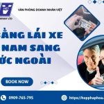Đổi bằng lái xe Việt Nam sang nước ngoài