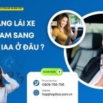 Đổi bằng lái xe Việt Nam sang quốc tế IAA ở đâu ?
