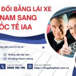 Gia hạn đổi bằng lái xe Việt Nam sang quốc tế IAA