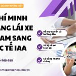 Hồ Chí Minh đổi bằng lái xe Việt Nam sang quốc tế IAA