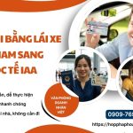 Hồ sơ đổi bằng lái xe Việt Nam sang quốc tế IAA
