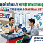 Hướng dẫn đổi bằng lái xe Việt Nam sang quốc tế IAA