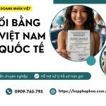 IDP đổi bằng lái xe Việt Nam sang quốc tế