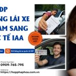 IDP đổi bằng lái xe Việt Nam sang quốc tế IAA