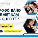 Khi nào đổi bằng lái xe Việt Nam sang quốc tế ?