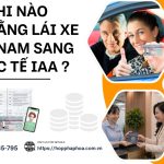 Khi nào đổi bằng lái xe Việt Nam sang quốc tế IAA ?