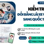 Kiểm tra đổi bằng lái xe Việt Nam sang quốc tế IAA