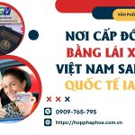 Nơi cấp đổi bằng lái xe Việt Nam sang quốc tế IAA