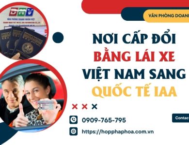 Nơi cấp đổi bằng lái xe Việt Nam sang quốc tế IAA