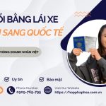 Nộp đổi bằng lái xe Việt Nam sang quốc tế