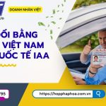 Phí đổi bằng lái xe Việt Nam sang quốc tế IAA