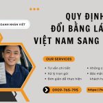 Quy định đổi bằng lái xe Việt Nam sang quốc tế