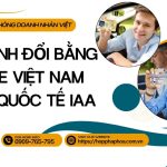 Quy định đổi bằng lái xe Việt Nam sang quốc tế IAA