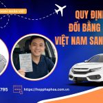 Quy định về đổi bằng lái xe Việt Nam sang quốc tế