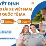 Quyết định đổi bằng lái xe Việt Nam sang quốc tế IAA