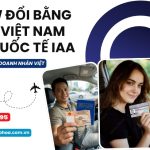 Review đổi bằng lái xe Việt Nam sang quốc tế IAA