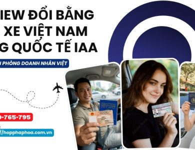 Review đổi bằng lái xe Việt Nam sang quốc tế IAA