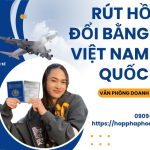 Rút hồ sơ đổi bằng lái xe Việt Nam sang quốc tế