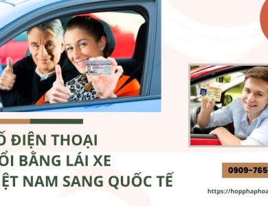 Số điện thoại đổi bằng lái xe Việt Nam sang quốc tế