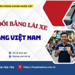 Thủ tục đổi bằng lái xe Nhật sang Việt Nam