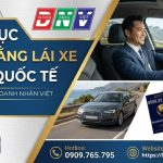 Thủ tục đổi bằng lái xe ô tô quốc tế