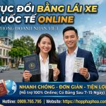 Thủ tục đổi bằng lái xe quốc tế online
