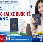 Thủ tục đổi bằng lái xe quốc tế qua mạng